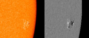 Sunspot 1016, April 30, 2009