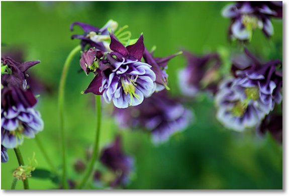 2009 05 08 044small
