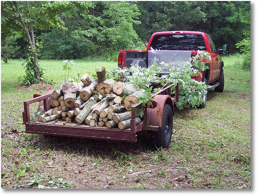 firewood-ed