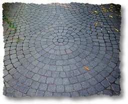 olbrich botanical gardens walk