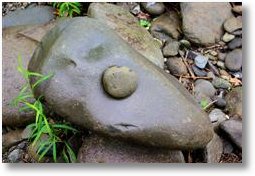 rocks in great smoky mountais national park