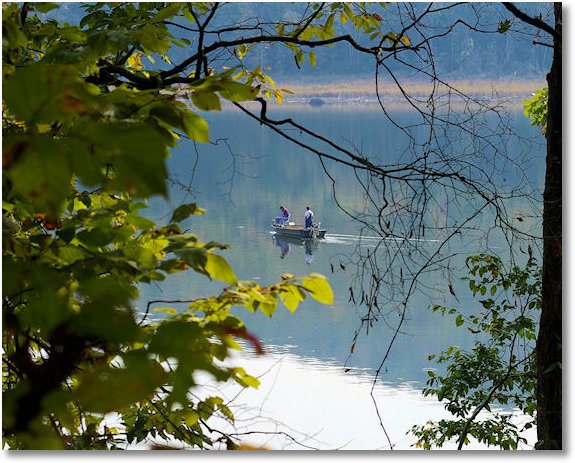 scene from ozark highlands trail
