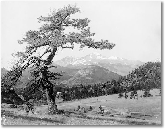 Long's Peak and Big Run from Black Cañon