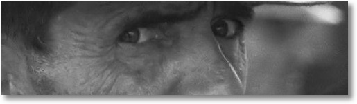 Eyes of the Great Depression