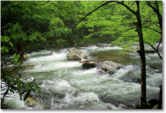 little river, great smoky mountains national park