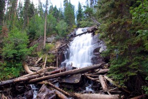 Fern Falls (slight time exposure)