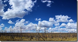 fire_signs_at_mesa_verde