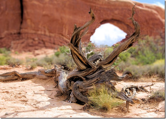 Windows area, Arches National Park, Utah - September 24, 2007