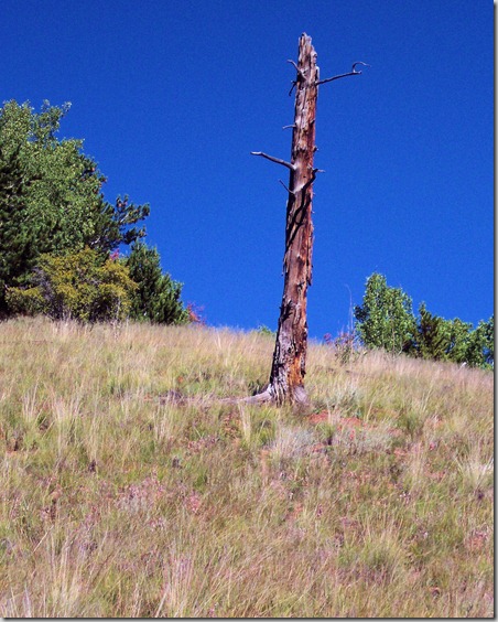 Dome Rock State Wildlife Area, Colorado, August 29, 2004