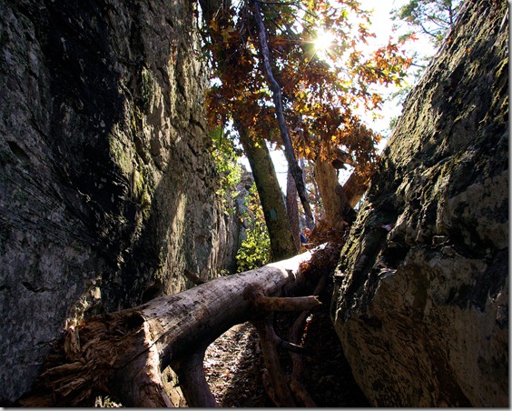 Downed Timber in Notch trail went through, Seven Hollows Trail, Petit Jean State Park, Arkansas