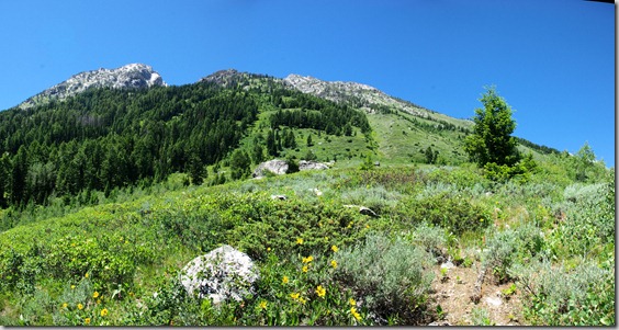 String Lake Trail, Grand Teton National Park
