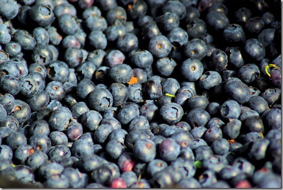 Farmers' Market, Jackson, Wyoming, July 17, 2010