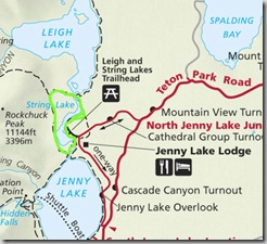 Image1