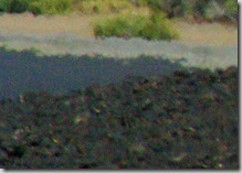 heat shimmering off cinders on Inferno Cone, Craters of the Moon National Monument and Preserve