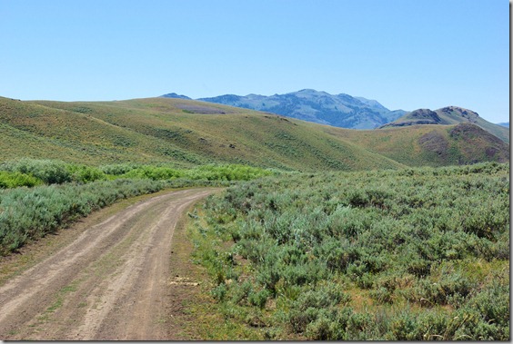 Antelope Valley to Antelope Pass – Heading toward Cherry Creek Summit, July 25, 2010, Idaho
