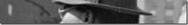 Watching the parade go by - 3, Eyes of the Great Depression 048