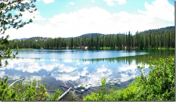 Martin Lake next to Bull Creek Campground Martin Lake next to Bull Creek Campground