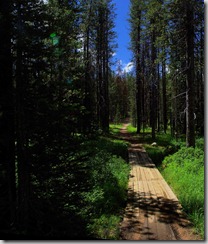 trail by Martin Lake next to Bull Creek Campground
