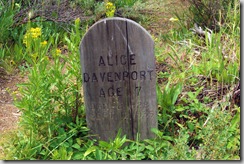 Alice Davenport, Age 7, Jan 2, 1928 to September 2, 1935, Bonanza Cemetery, Idaho