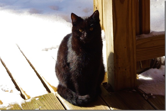Winter - February, 2011