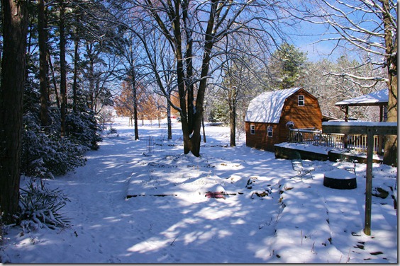 Winter - February, 2011