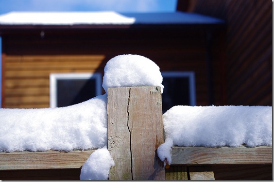 Winter - February, 2011