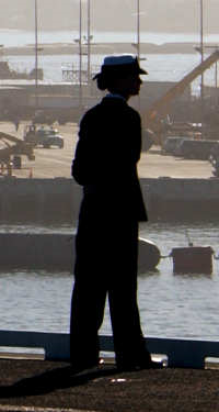 Post image for &ldquo;Manning the Rail&rdquo;