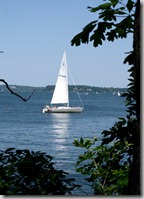 2007-00739