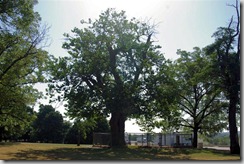 2007-08-13-007exit78
