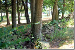 2007-08-13-009exit78