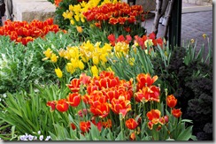 2011 03 13 005ed