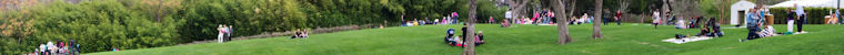 Post image for It&rsquo;s really not completely out of focus&hellip;.