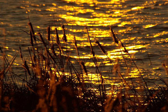 Fairfield Lake State Park, Texas Fairfield Lake State Park, Texas