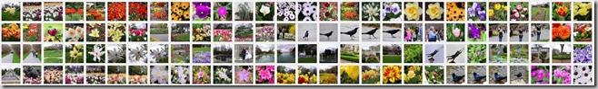 Post image for Dallas Arboretum and Botanical Gardens