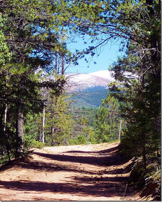 Mueller State Park, Colorado, August 28, 2004