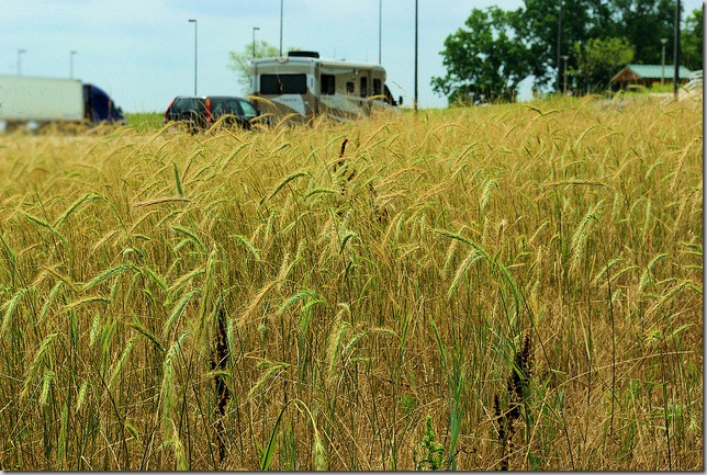 Rest stop at Marais des Cygnes National Wildlife Refuge, Kansas, and Kansas highway 52