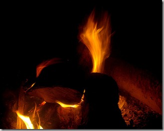 campfire at Petit Jean