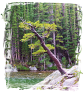 dream_lake