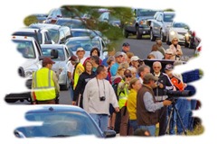 2011 09 12 421 image for blog