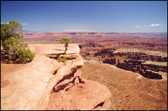 Post image for Grand View Point Trail