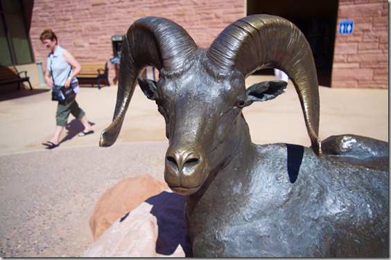 Big horn sheep ram - Arches National Park Desert Animal Series by Matthew Gray Palmer Big horn sheep ram - Arches National Park Desert Animal Series by Matthew Gray Palmer