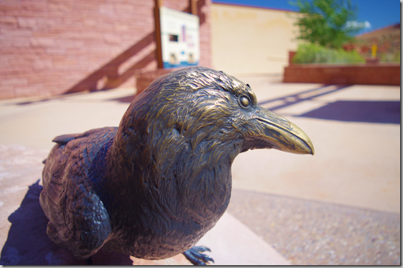 Raven - Arches National Park Desert Animal Series by Matthew Gray Palmer Raven - Arches National Park Desert Animal Series by Matthew Gray Palmer