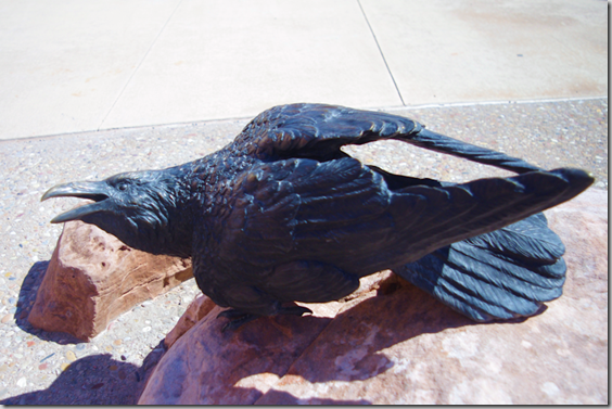 Raven - - Arches National Park Desert Animal Series by Matthew Gray Palmer Raven - Arches National Park Desert Animal Series by Matthew Gray Palmer