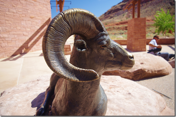 Big horn sheep ram - Arches National Park Desert Animal Series by Matthew Gray Palmer Big horn sheep ram - Arches National Park Desert Animal Series by Matthew Gray Palmer