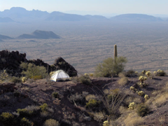 Image of a backcountry camp spot with a wonderful view from the Ajo Range. Backcountry; Organ Pipe Cactus National Monument