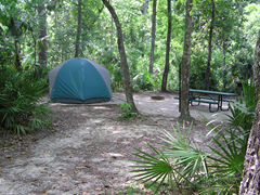 Forest tent camping; Campground Camping; Ocala National Forest.