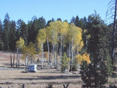 RV camped near aspen; Dispersed camping; Malheur National Forest