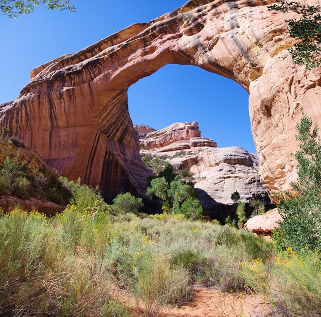 Sipapu Natural Bridge Trail, Natural Bridges National Monument, Utah, September 30, 2011
