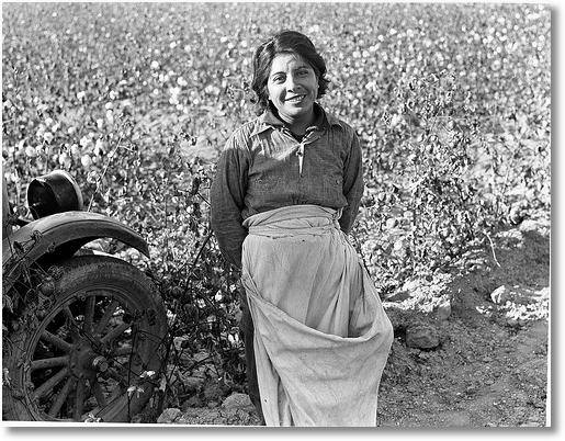 Cotton picker. Southern San Joaquin Valley, California