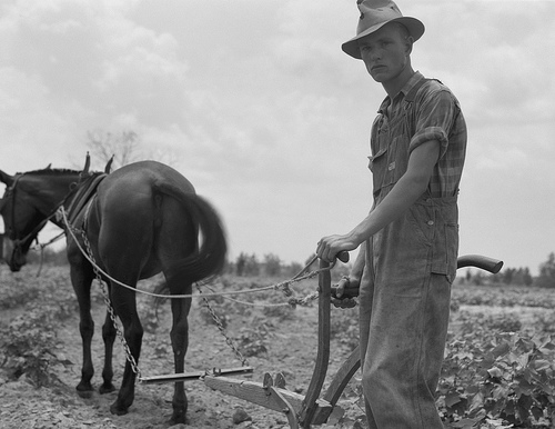 Eyes of the Great Depression - 007